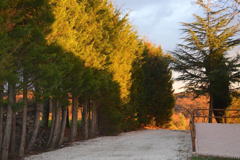 פיטיליאנו Agriturismo La Collina מראה חיצוני תמונה