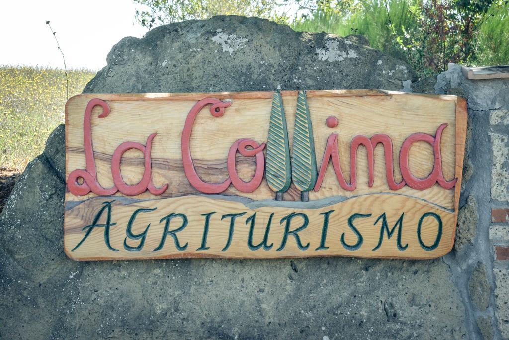 פיטיליאנו Agriturismo La Collina מראה חיצוני תמונה